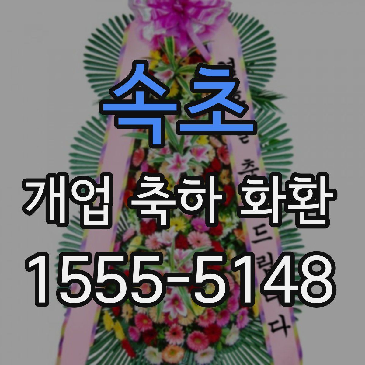 속초 개업 축하 화환