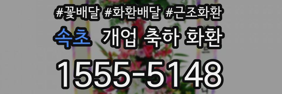 속초 개업 축하 화환