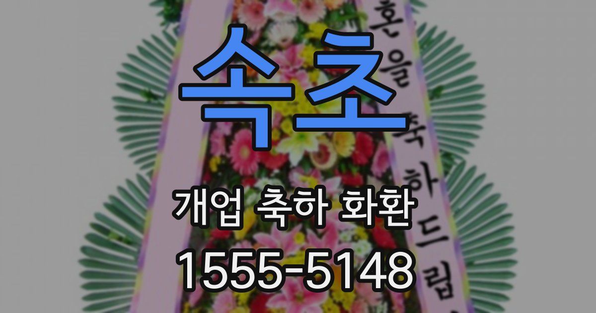 속초 개업 축하 화환