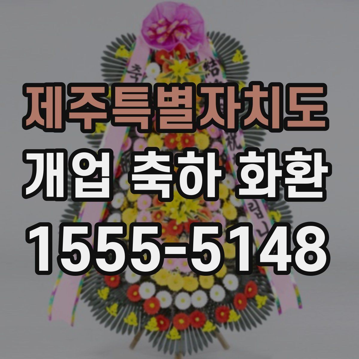 제주특별자치도 개업 축하 화환 실내와 실외 설치 차이