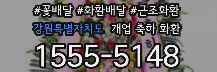 강원특별자치도 개업 축하 화환