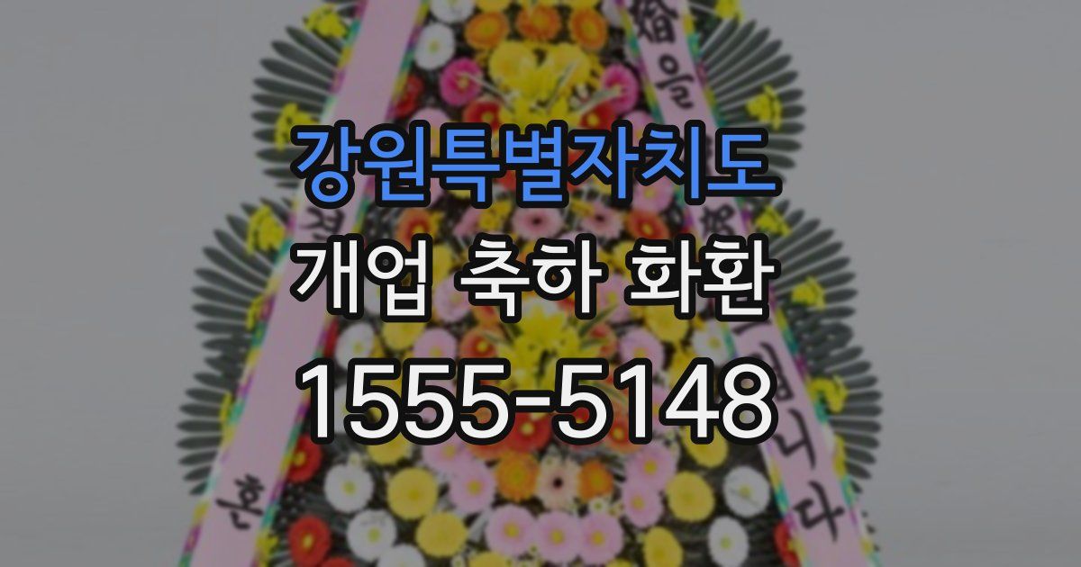 강원특별자치도 개업 축하 화환