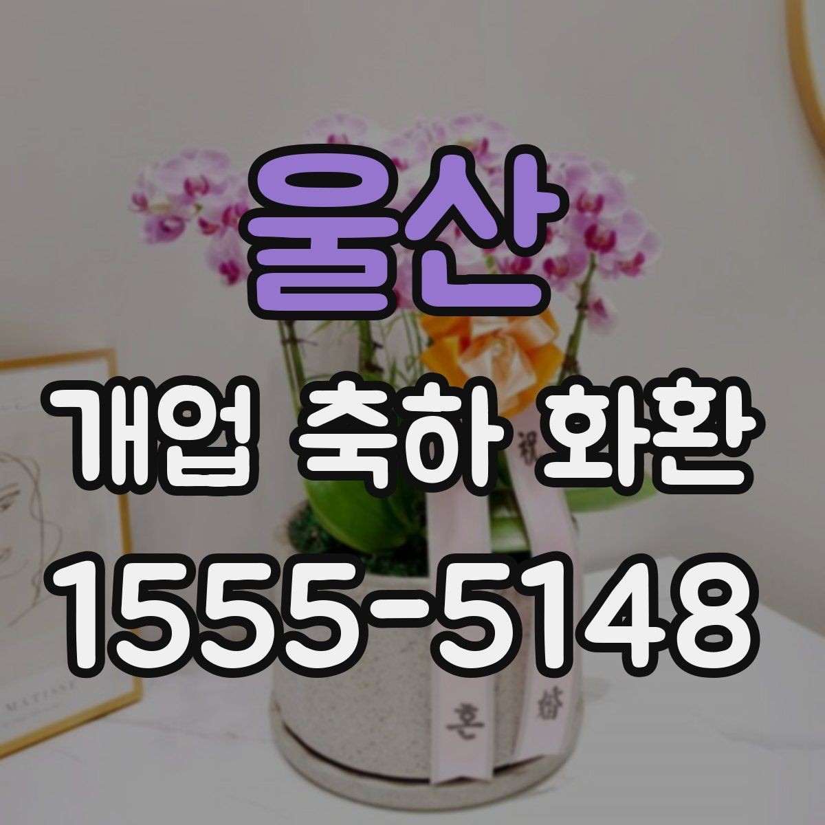 울산 개업 축하 화환 꽃 상태를 확인하는 방법