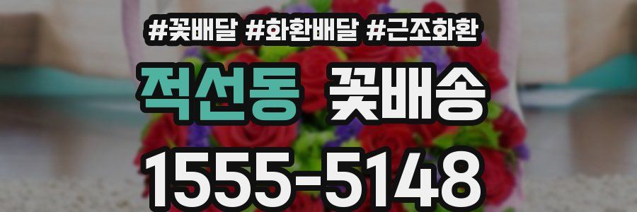 적선동 꽃배송