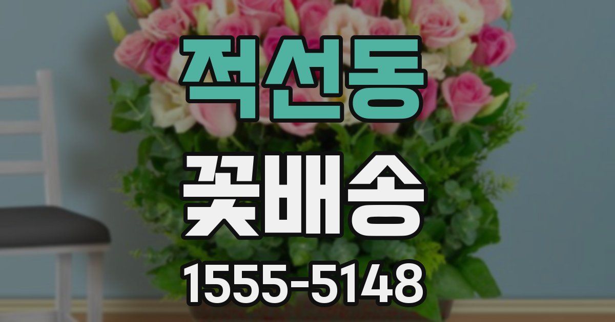 적선동 꽃배송