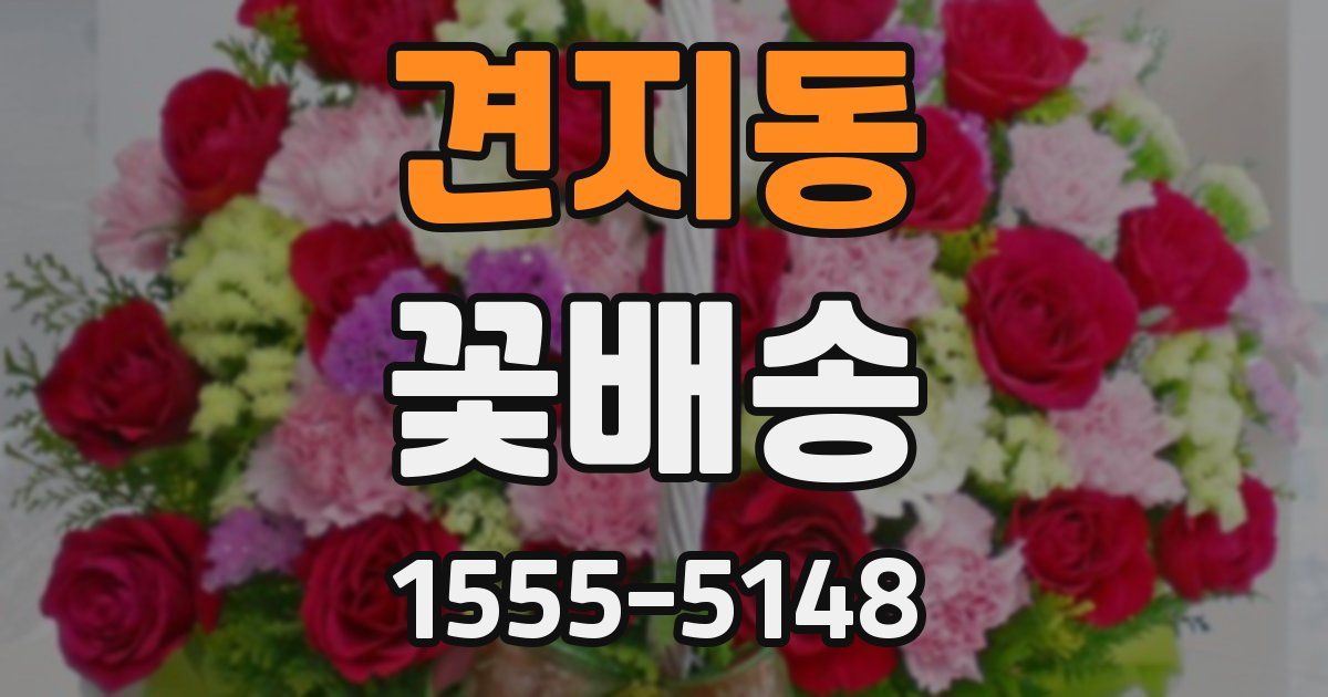 견지동 꽃배송