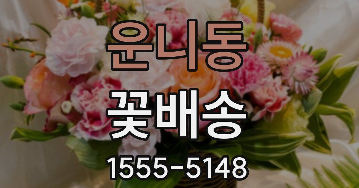 운니동 꽃배송