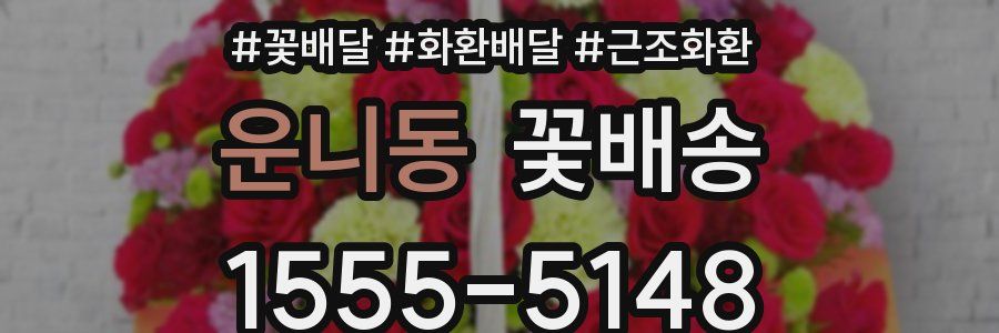 운니동 꽃배송