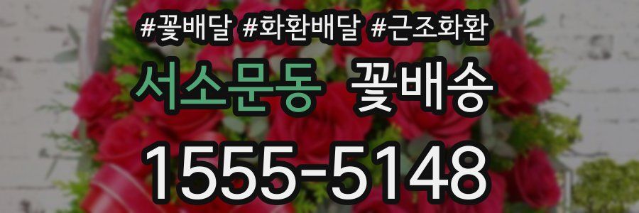 서소문동 꽃배송