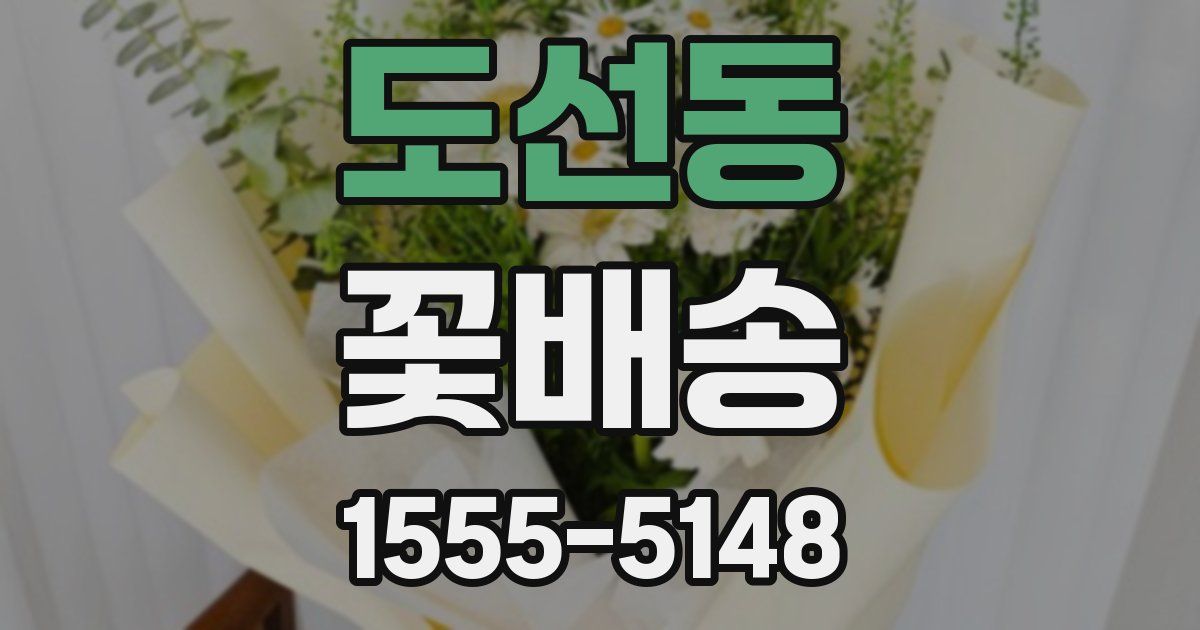 도선동 꽃배송
