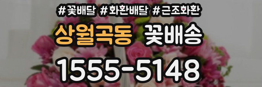 상월곡동 꽃배송