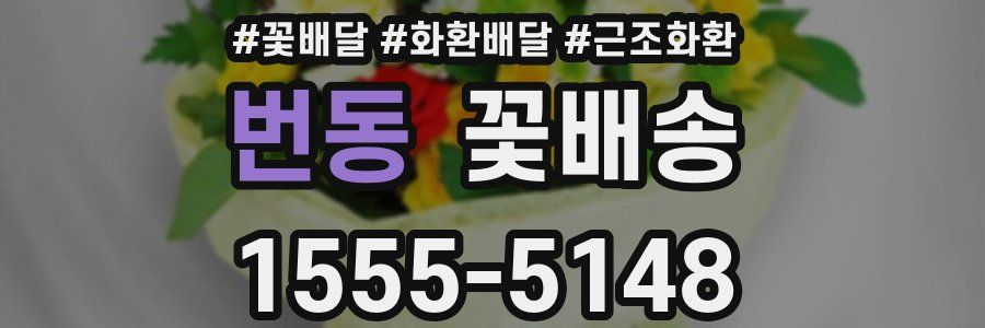 번동 꽃배송