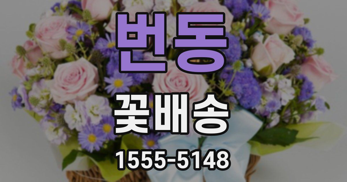 번동 꽃배송