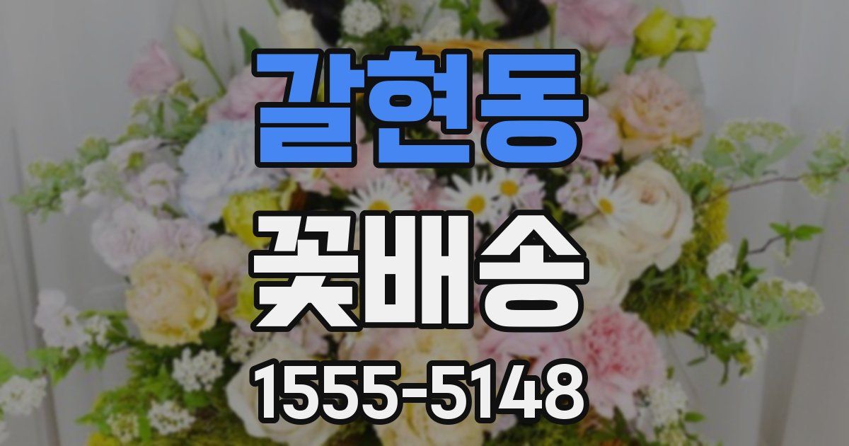 갈현동 꽃배송