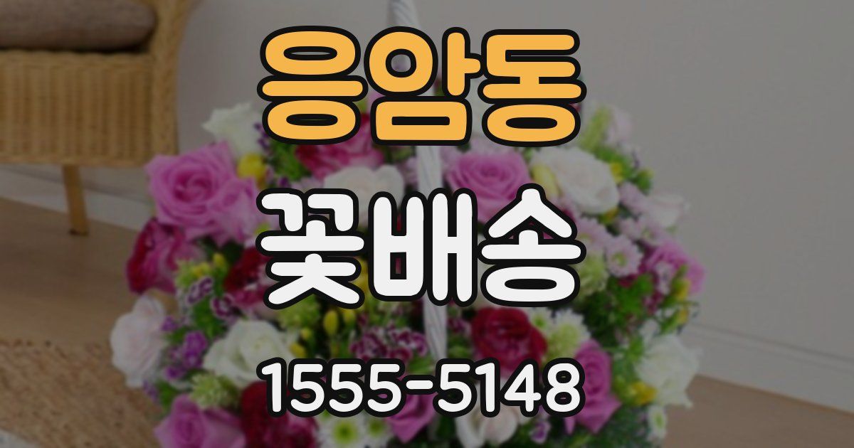 응암동 꽃배송
