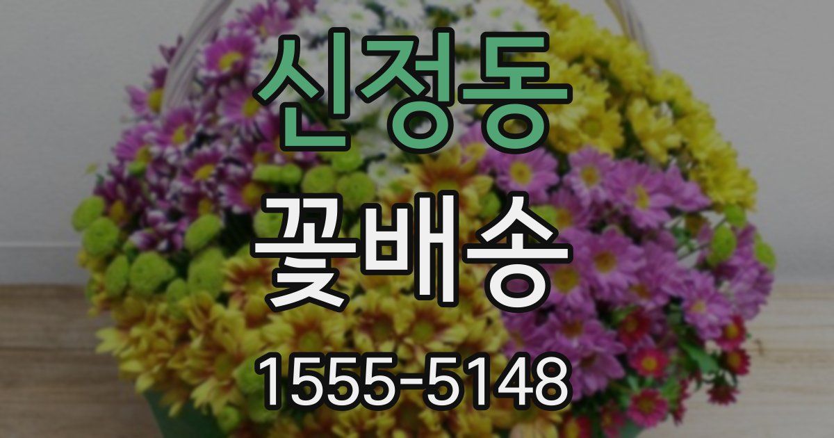 신정동 꽃배송