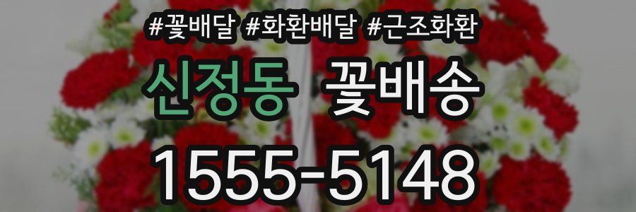 신정동 꽃배송
