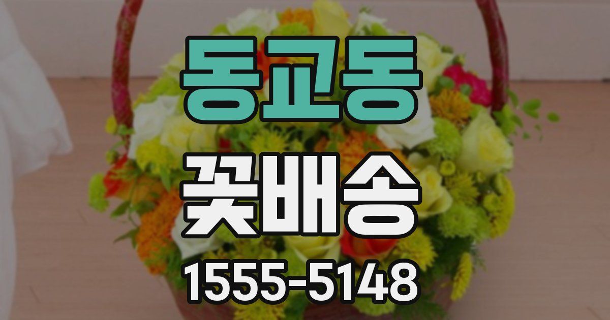 동교동 꽃배송