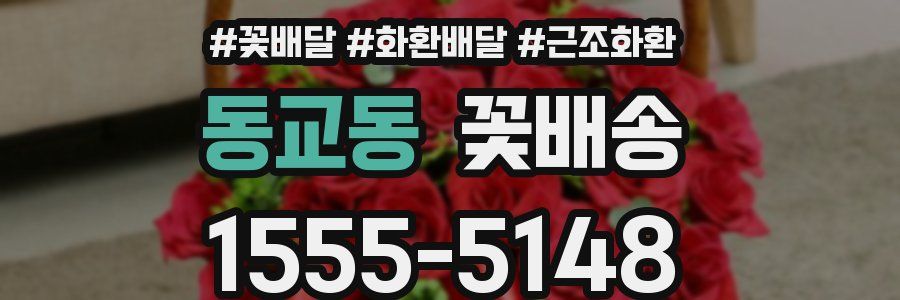 동교동 꽃배송