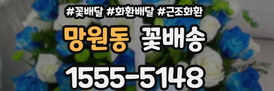 망원동 꽃배송