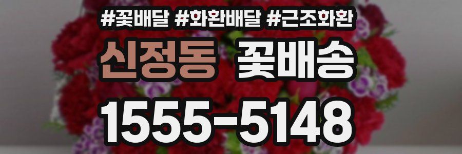 신정동 꽃배송