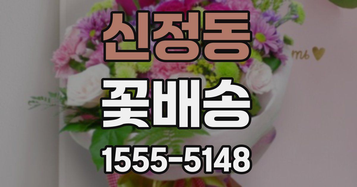 신정동 꽃배송