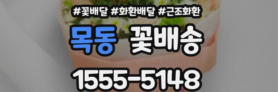 목동 꽃배송