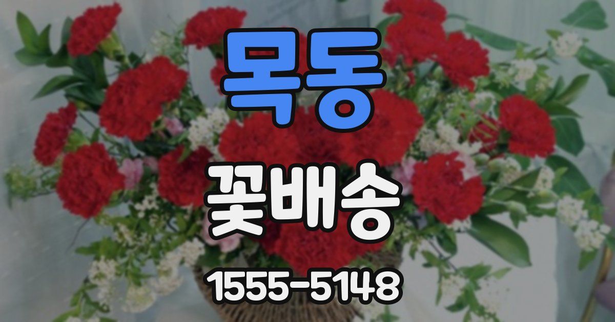 목동 꽃배송