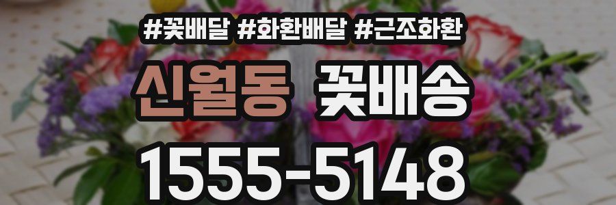 신월동 꽃배송
