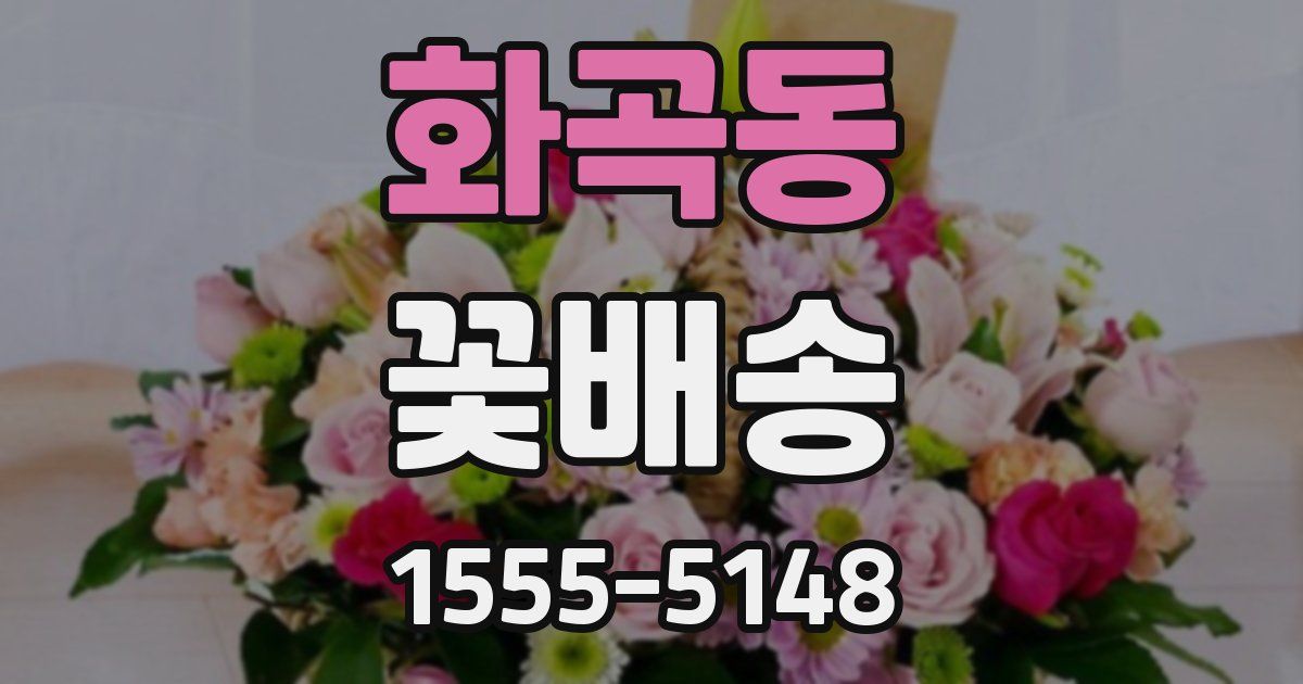 화곡동 꽃배송