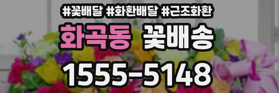 화곡동 꽃배송