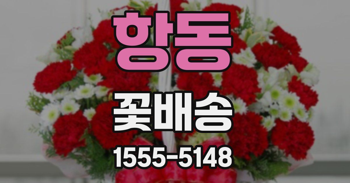 항동 꽃배송