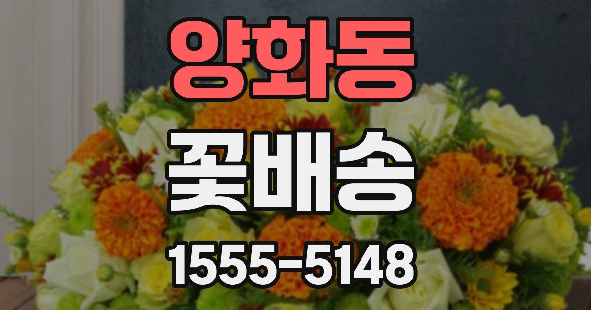 양화동 꽃배송