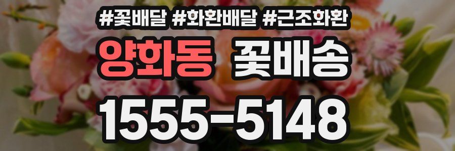 양화동 꽃배송