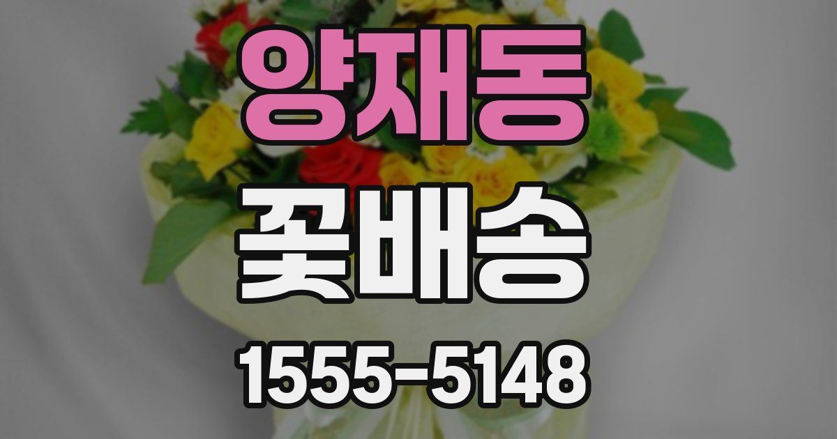 양재동 꽃배송
