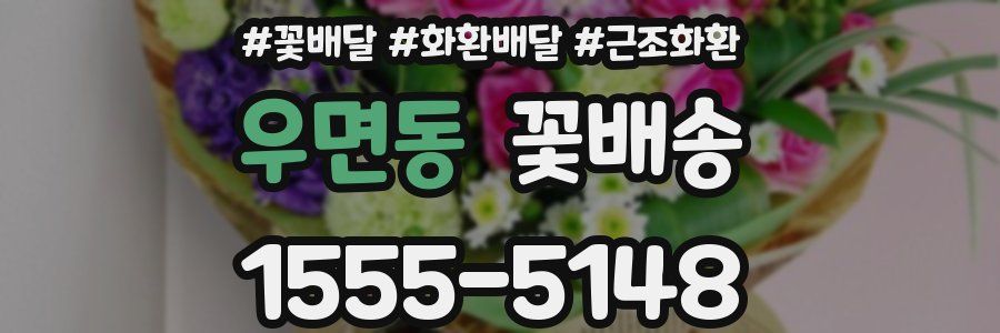 우면동 꽃배송