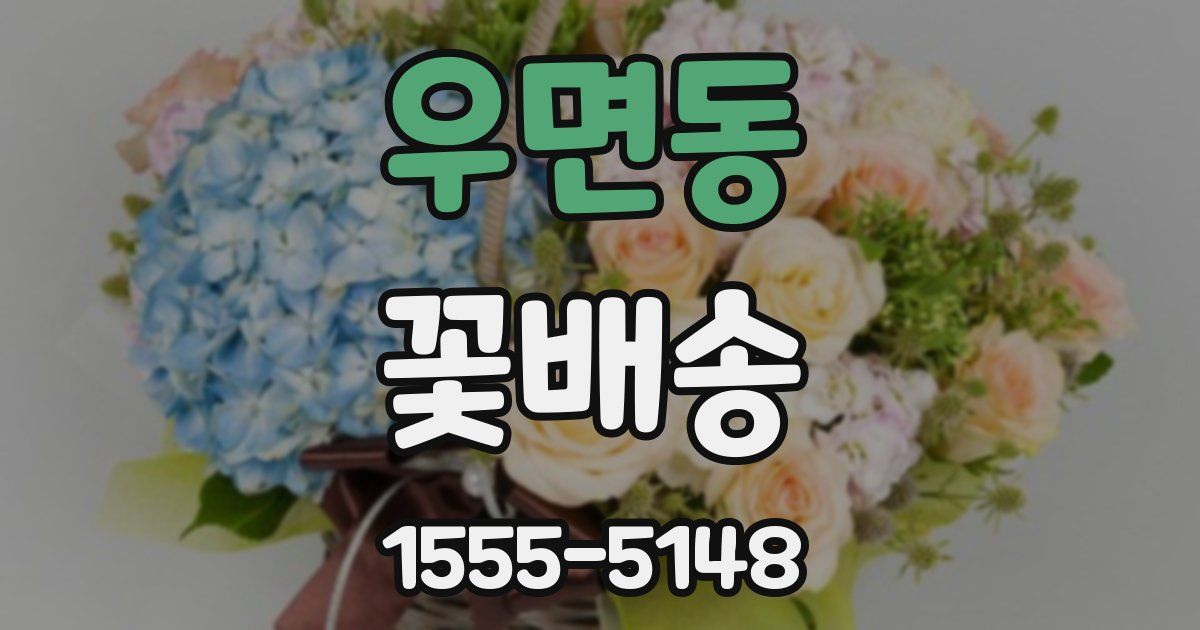 우면동 꽃배송