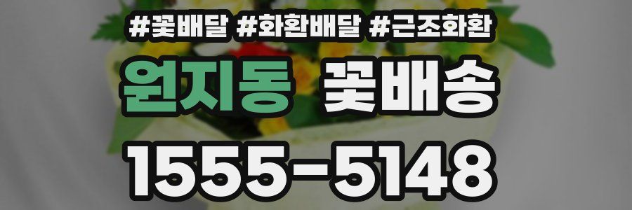 원지동 꽃배송