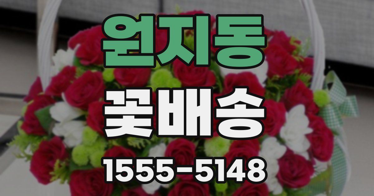원지동 꽃배송