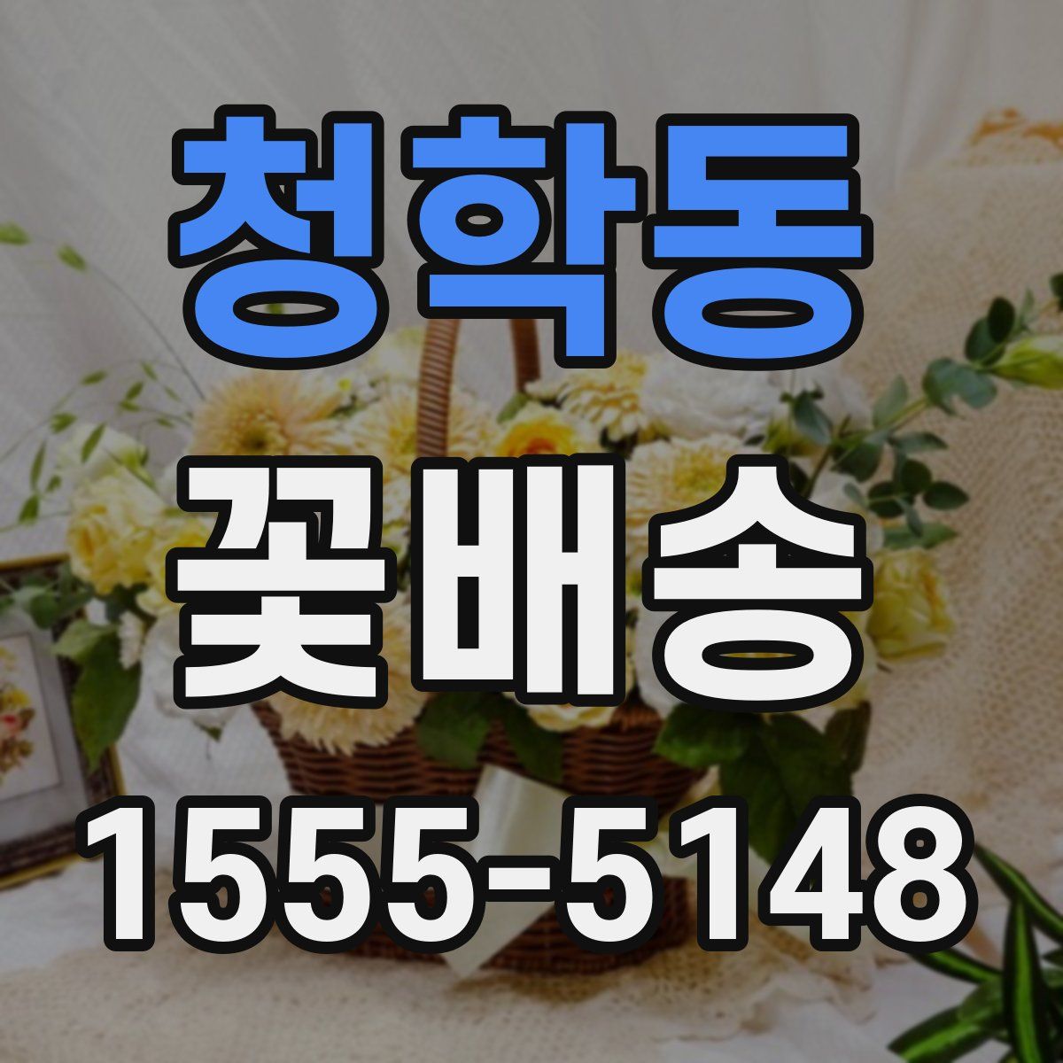 청학동 꽃배송