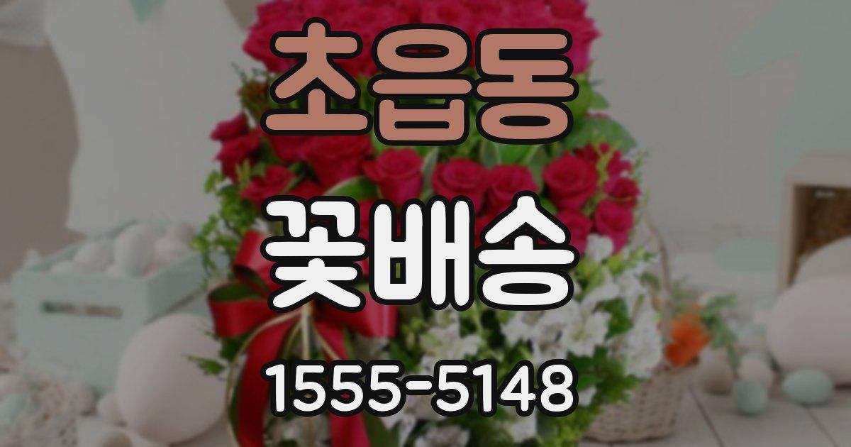 초읍동 꽃배송
