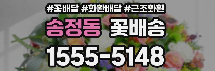 송정동 꽃배송