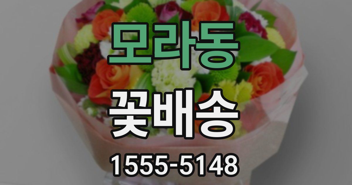모라동 꽃배송
