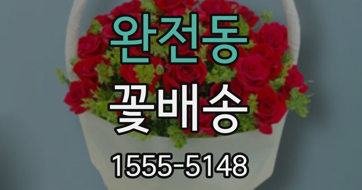 완전동 꽃배송