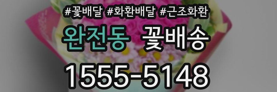 완전동 꽃배송