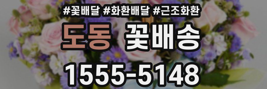 도동 꽃배송