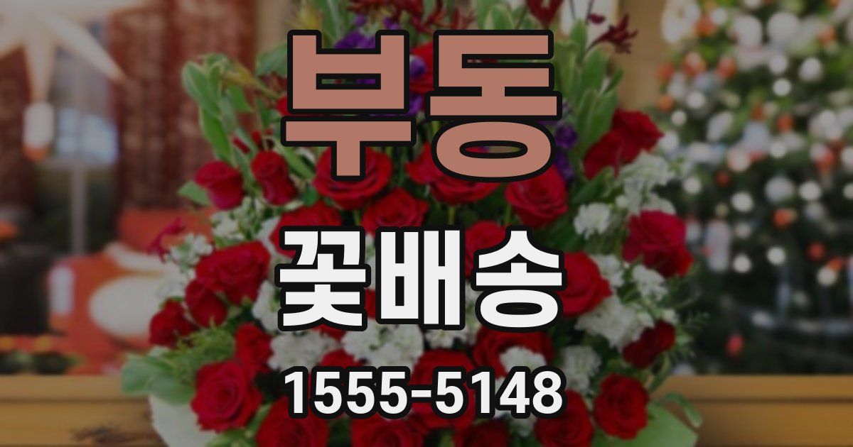 부동 꽃배송