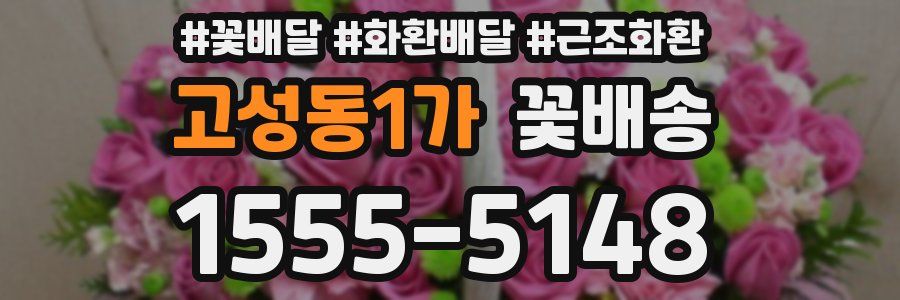 고성동1가 꽃배송