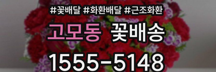 고모동 꽃배송