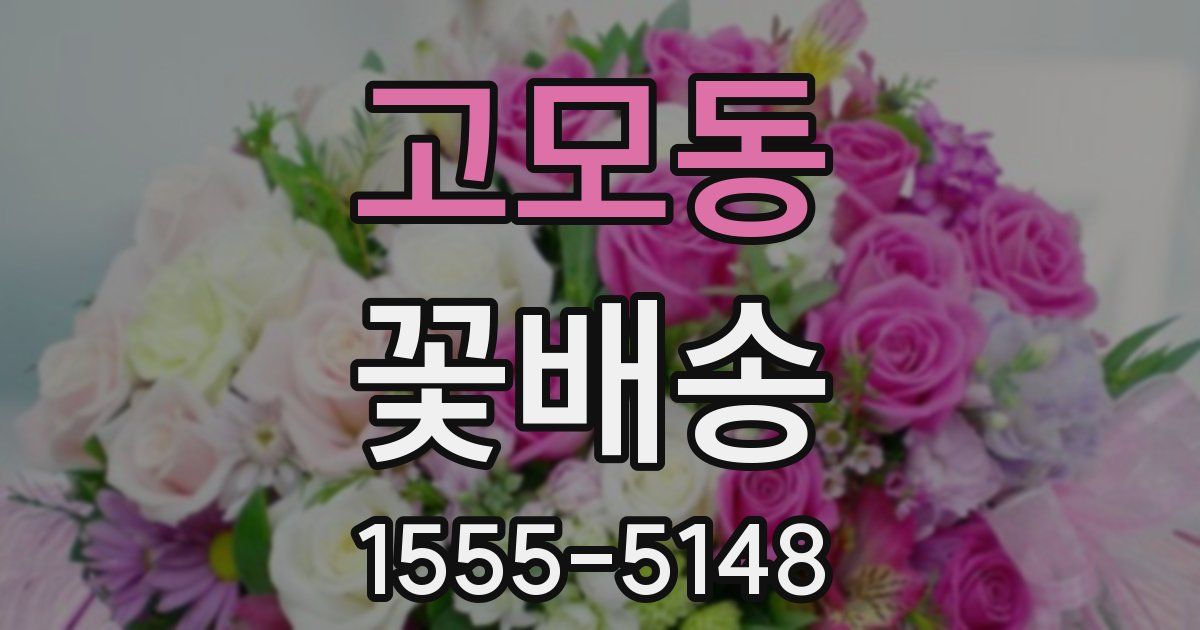 고모동 꽃배송